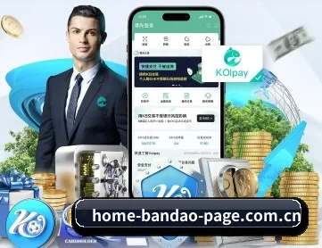 半岛体育在线登陆 APP 深度功能