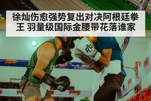 徐灿伤愈强势复出对决阿根廷拳王 羽量级国际金腰带花落谁家