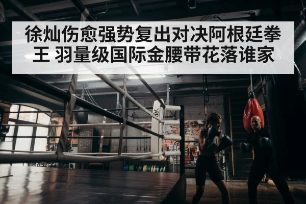 boxer training